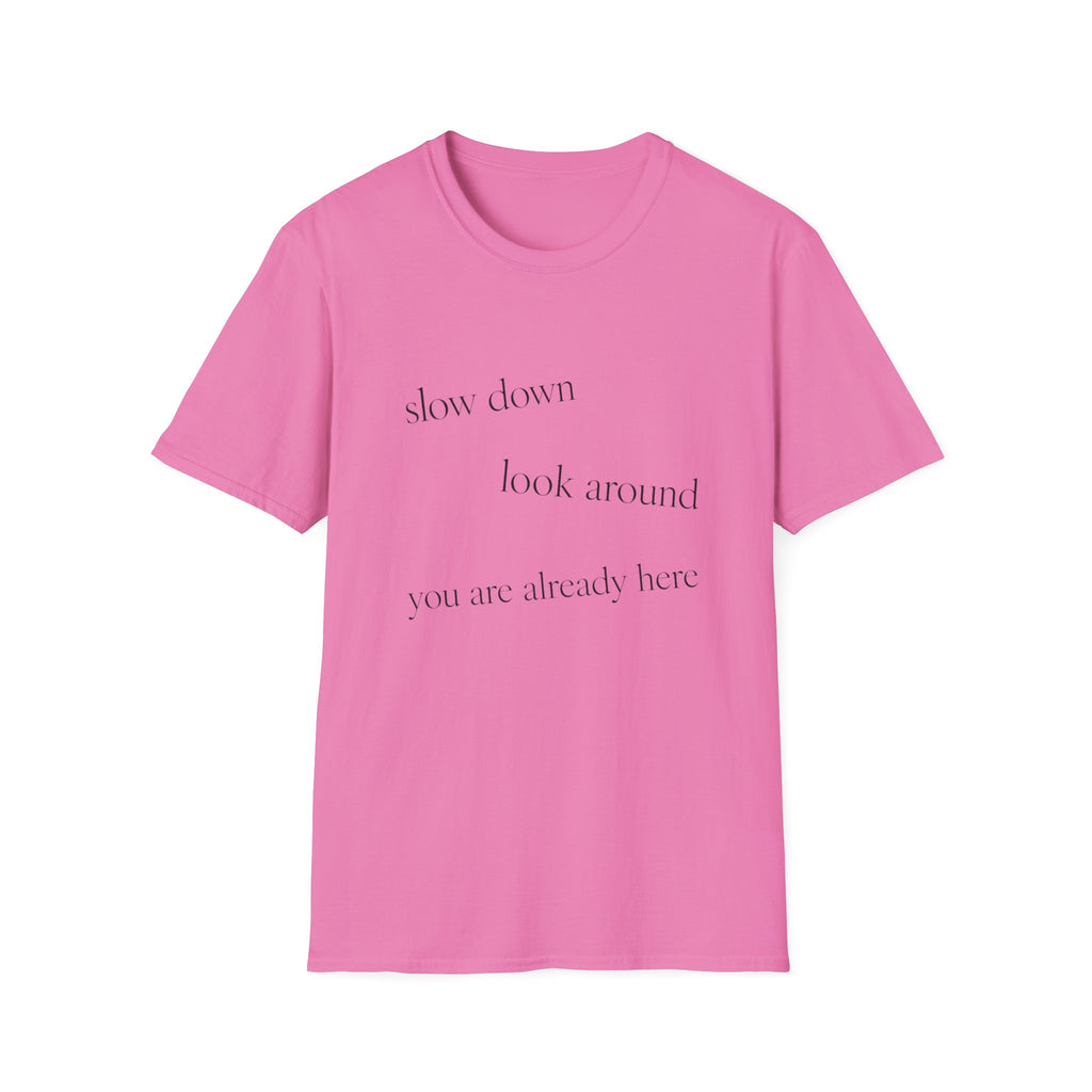 Slow Down Look Around