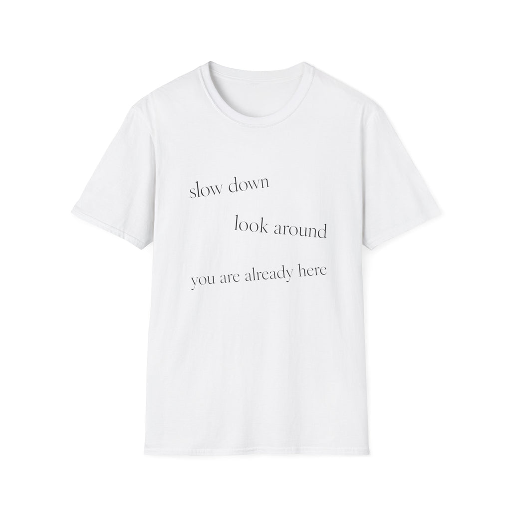 Slow Down Look Around