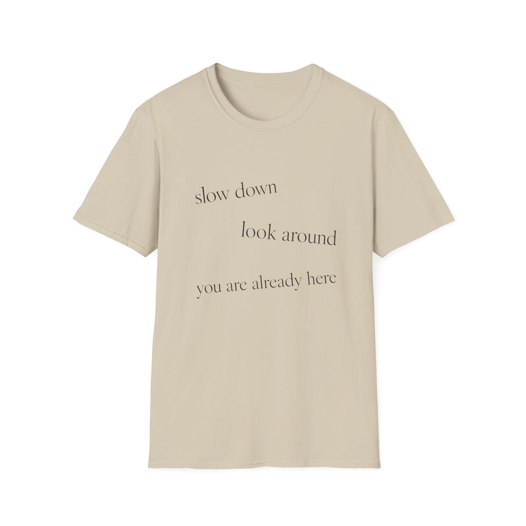 Slow Down Look Around