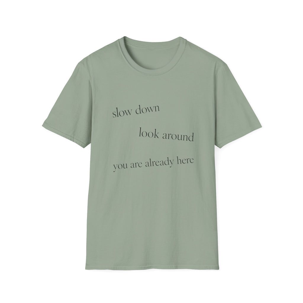 Slow Down Look Around