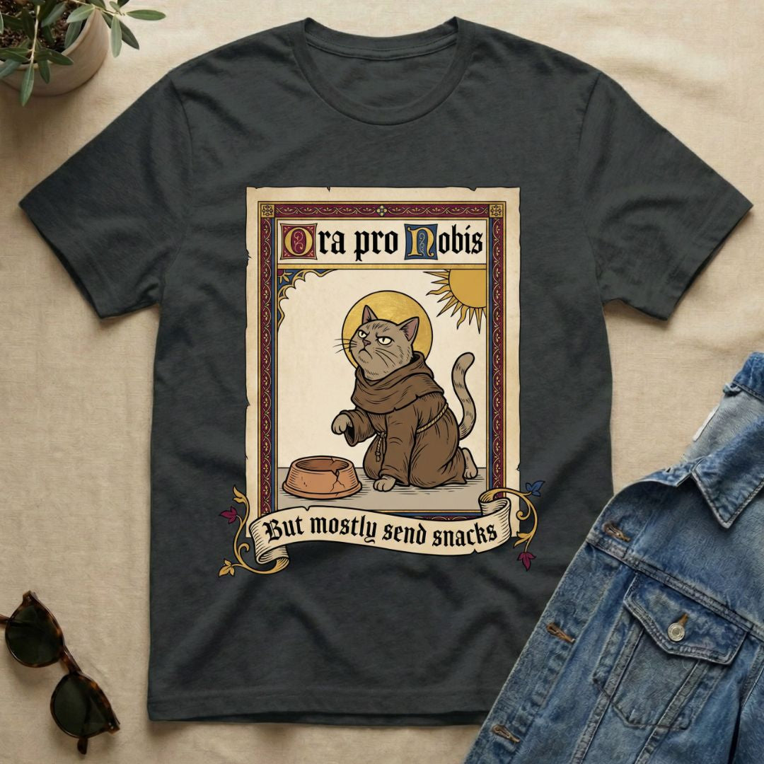 ...But Mostly Send Snacks T-Shirt